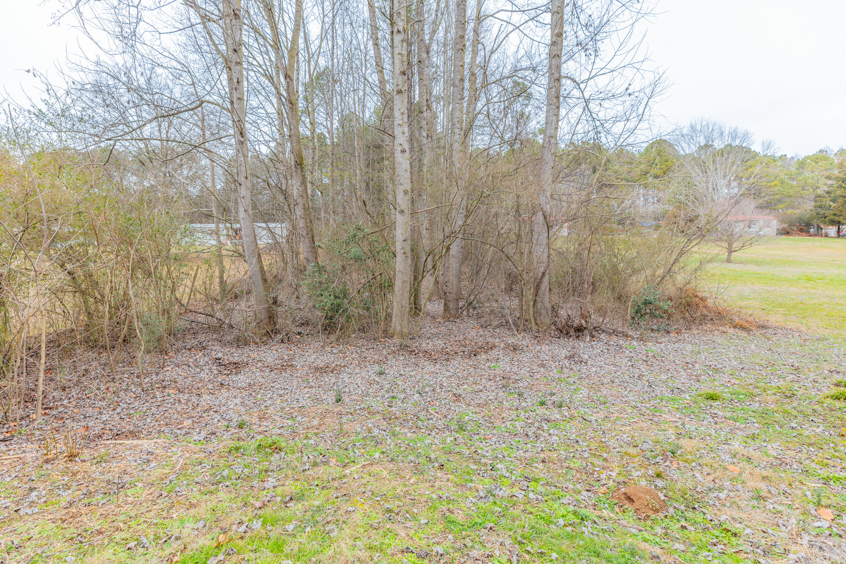 0 Northeast Keith Valley Road Cohutta, GA 30710 - Photo 2 of 13 4047 Keith Valley NE HD-12