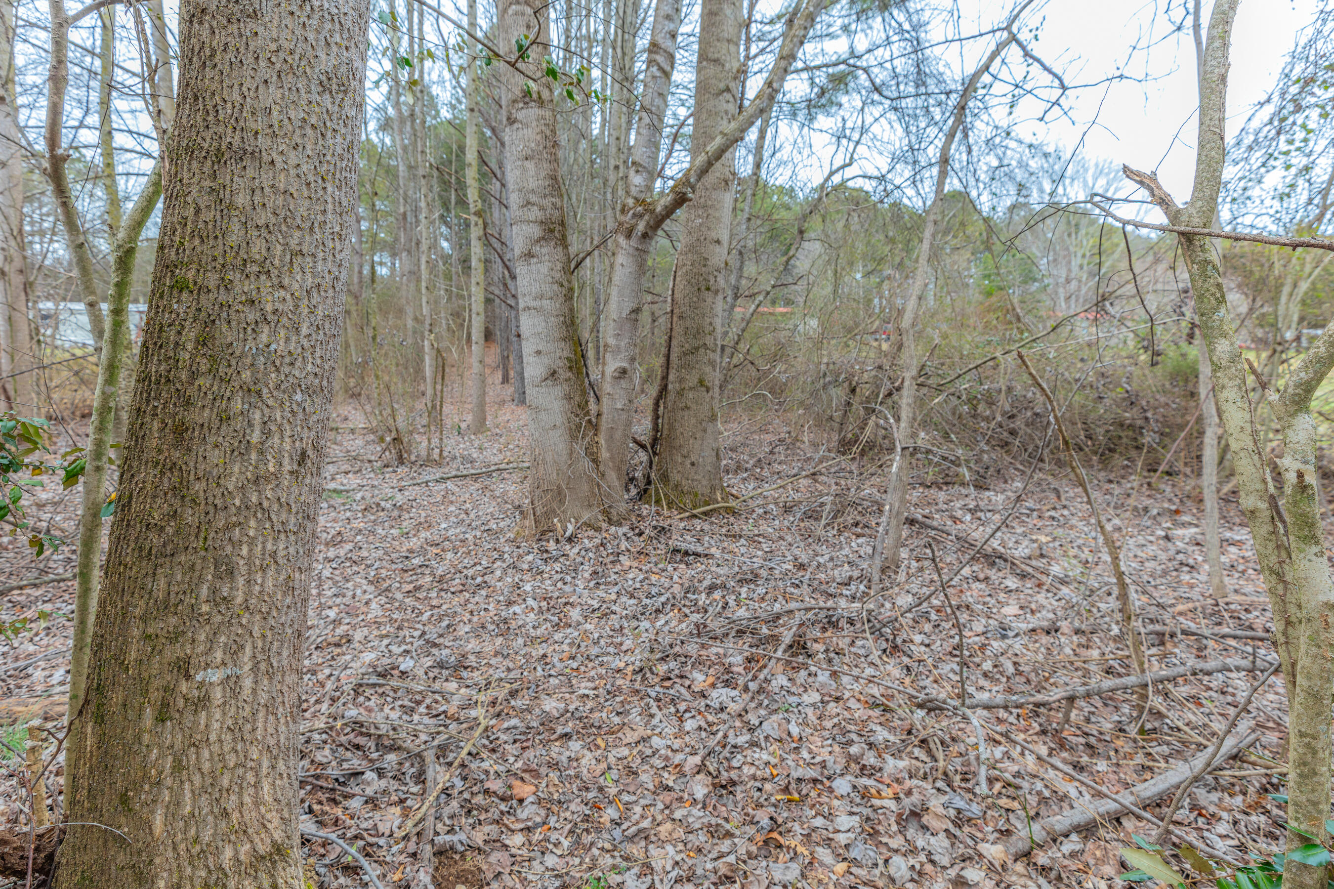 0 Northeast Keith Valley Road Cohutta, GA 30710 - Photo 3 of 13 4047 Keith Valley NE HD-13