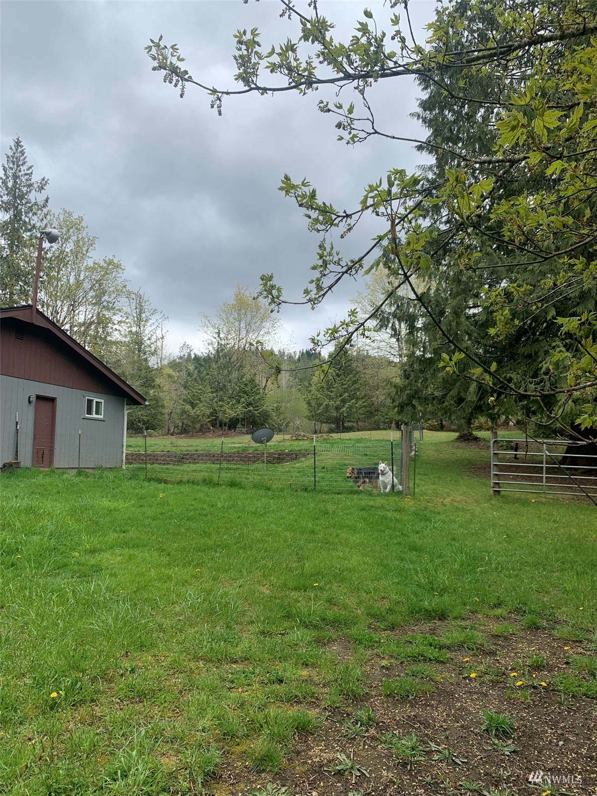 1284 Township Line Road Port Angeles, WA 98362 - Photo 27 of 32 Gallery Image 27