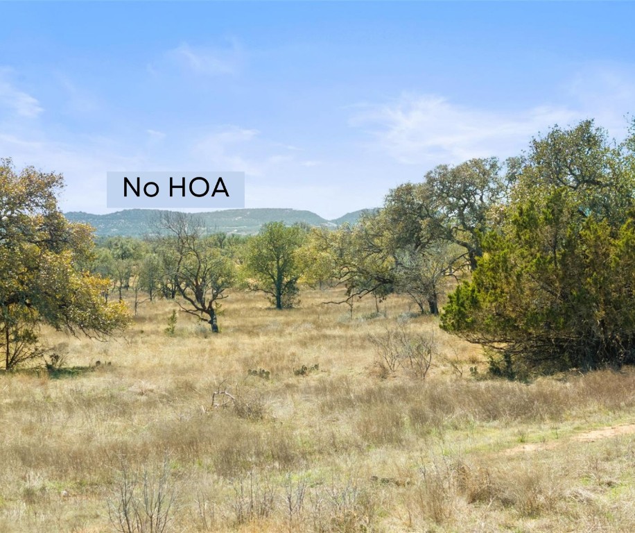 a view of water and with trees in the background