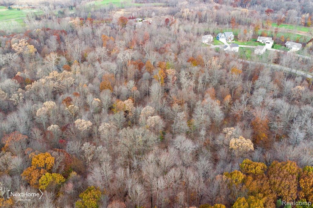 0 McClements Road Brighton, MI 48114 - Photo 11 of 15