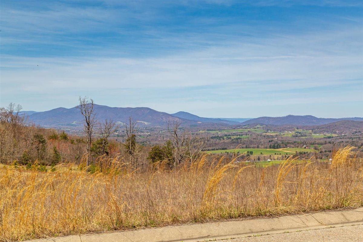 Lot 65 Penny Lane Rocky Mount, VA 24151 - Photo 4 of 5 a3