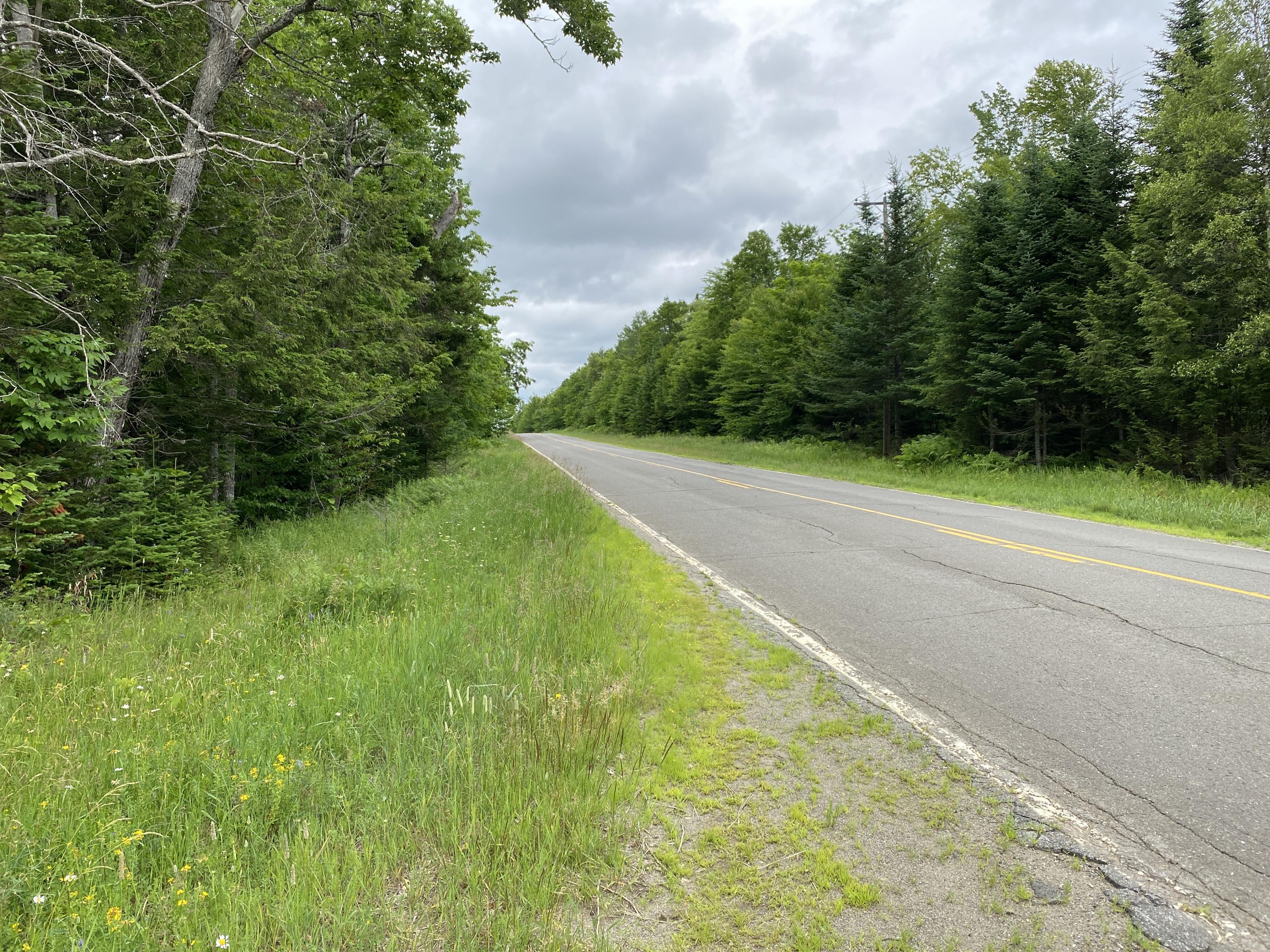 Lot 10 Averill Road Springfield, ME 04487 - Photo 10 of 18 IMG_0628