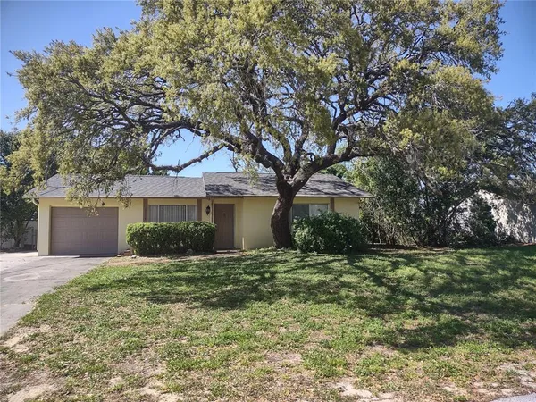 a house that has a tree in front of it