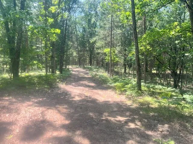 $59,750 | 6142 North Sunshine Drive, Irons, MI 49644