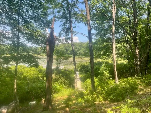 $59,750 | 6142 North Sunshine Drive, Irons, MI 49644