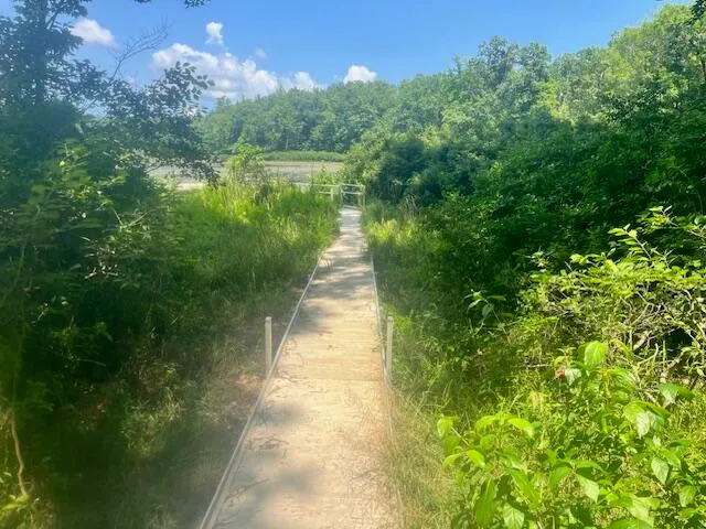 $59,750 | 6142 North Sunshine Drive, Irons, MI 49644