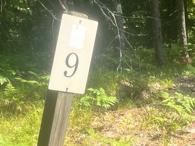 $59,750 | 6142 North Sunshine Drive, Irons, MI 49644