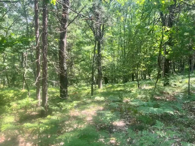 $59,750 | 6142 North Sunshine Drive, Irons, MI 49644