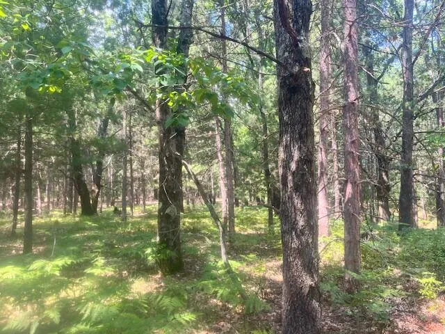 $59,750 | 6142 North Sunshine Drive, Irons, MI 49644