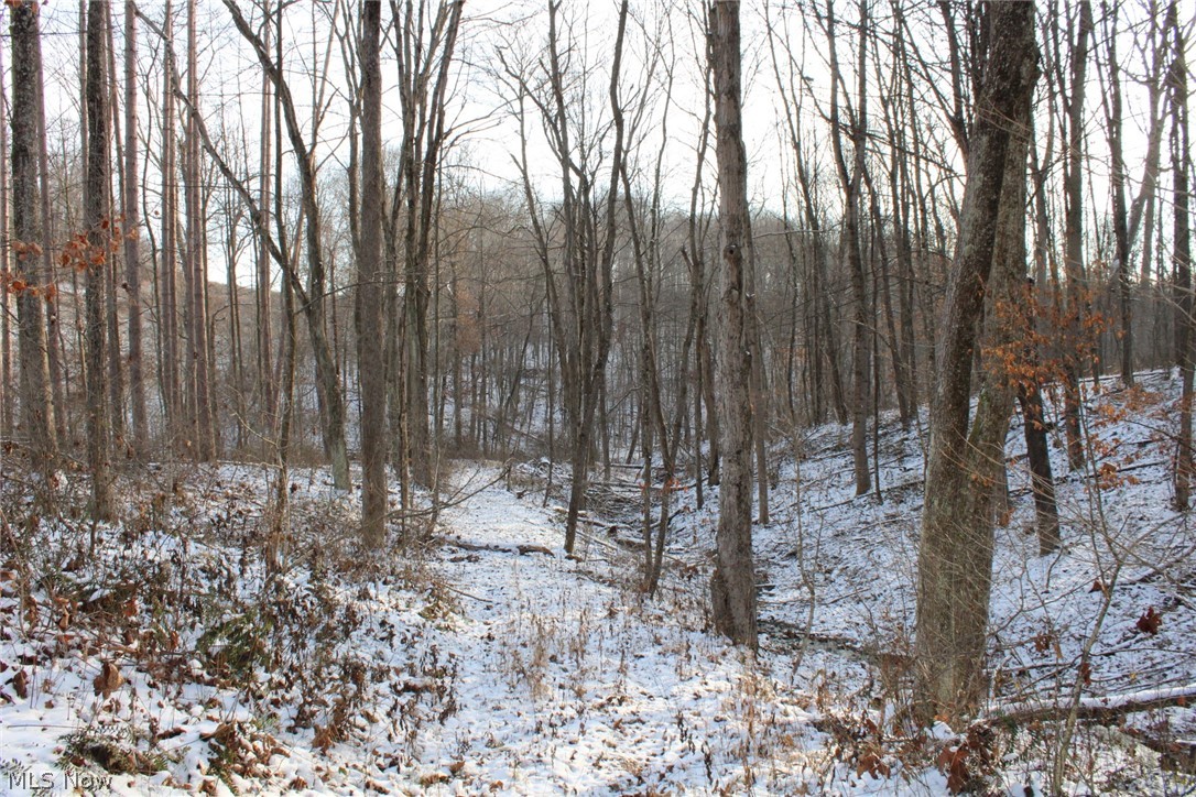 Amsterdam Road Scio, OH 43988 - Photo 12 of 29 Gallery Image 12