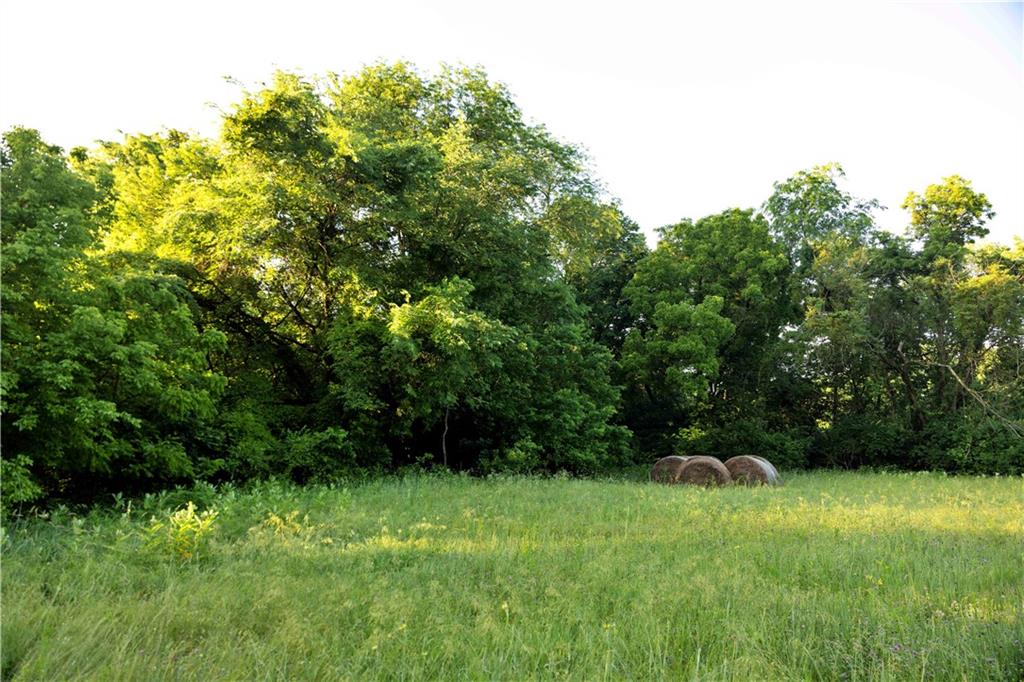 Wilderness Camp Road Lawson, MO 64062 - Photo 53 of 90