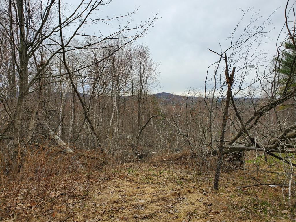 386 Old Jay Hill Road Jay, ME 04239 - Photo 2 of 6 20190501_162052MLS