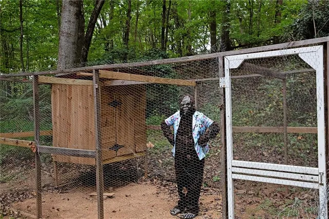 a view of a small backyard