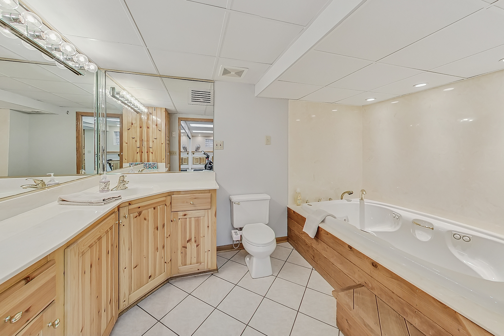 238 South Merrill Street Park Ridge, IL 60068 - Photo 29 of 40 a spacious bathroom with a granite countertop sink mirror and a