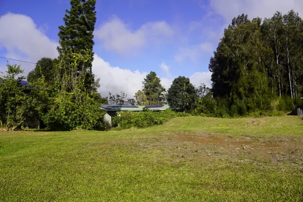 a view of a field with trees in the background