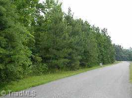 0 Ed Essick Road Lexington, NC 27295 - Photo 2 of 3 Other.