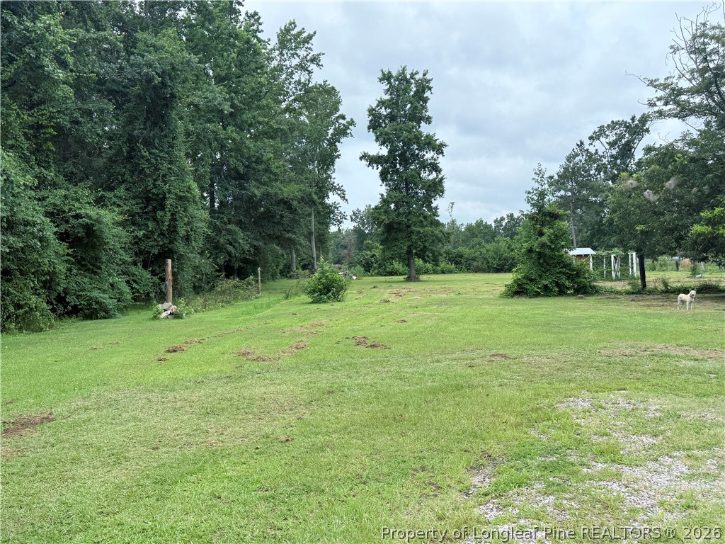 11097 Rennert Road Shannon, NC 28386 - Photo 43 of 50