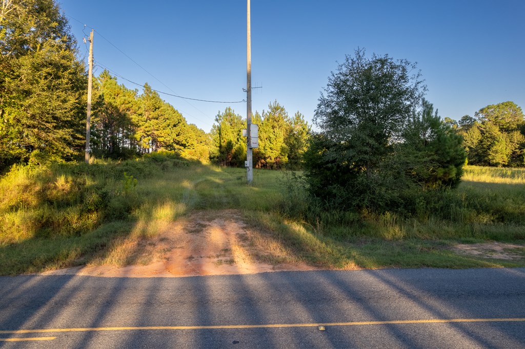 2226 Randall Wade Road Headland, AL 36345 - Photo 4 of 60