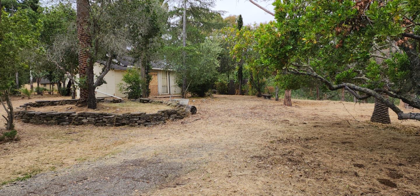26731 Taaffe Road Los Altos Hills, CA 94022 - Photo 3 of 9 a view of a yard with a tree