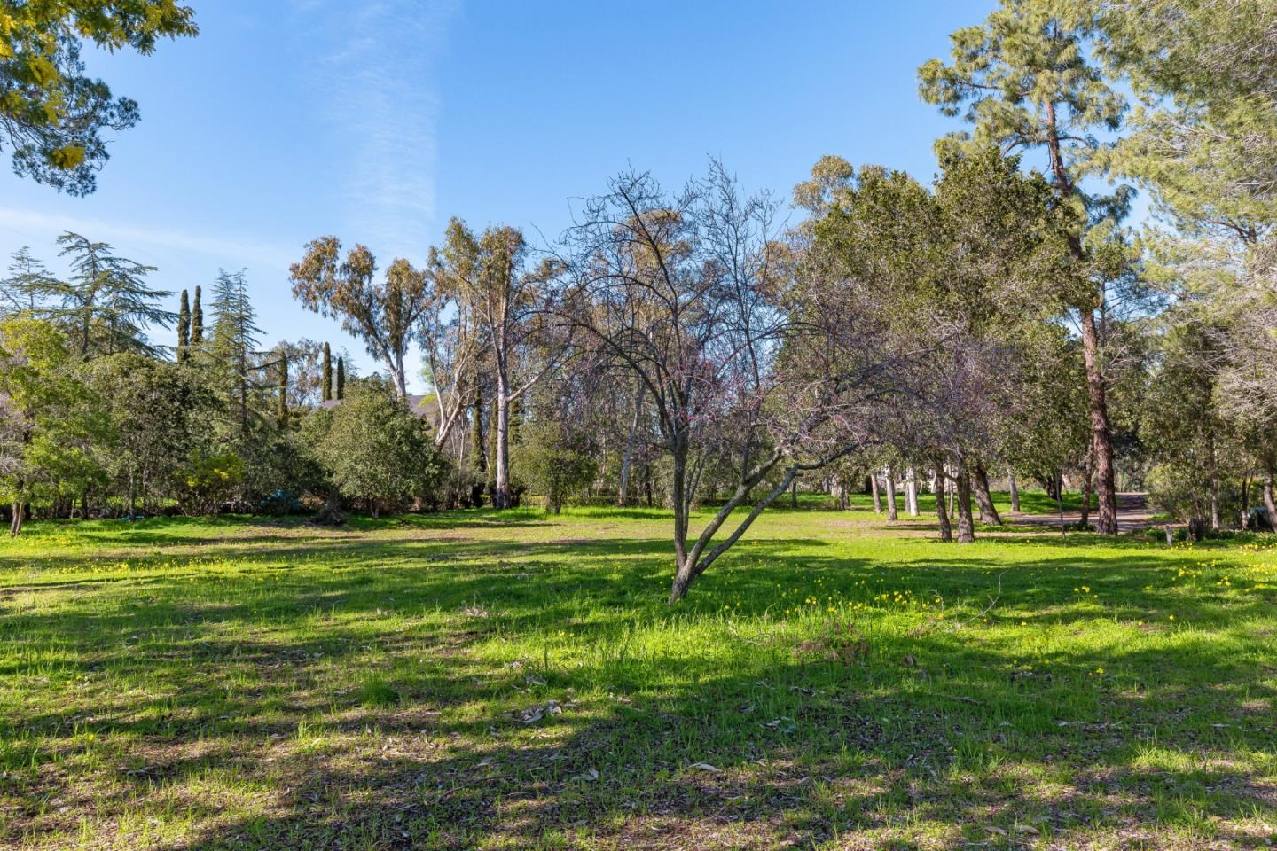 26731 Taaffe Road Los Altos Hills, CA 94022 - Photo 4 of 9 a yard with lots of trees and houses in the background