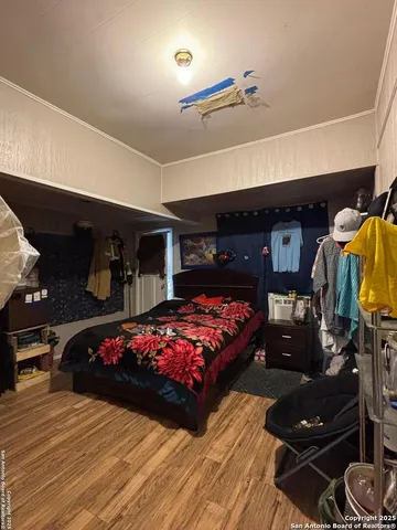 a bedroom with bed and a walk in closet