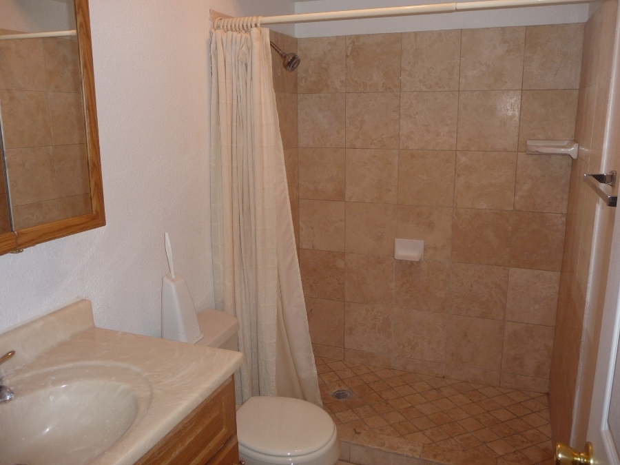 3702 East Wethersfield Road Phoenix, AZ 85032 - Photo 8 of 9 Master Bathroom