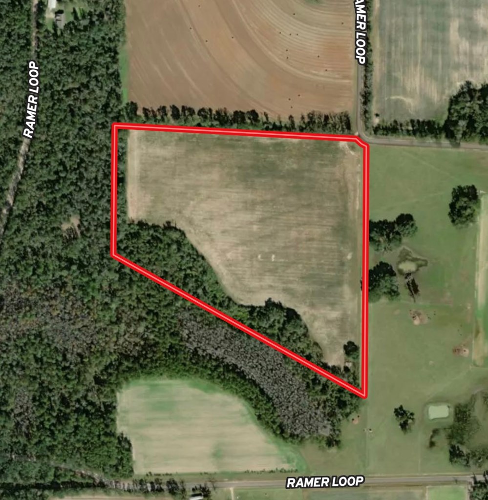 31.5-acres Ramer Loop Cottonwood, AL 36320 - Photo 4 of 13