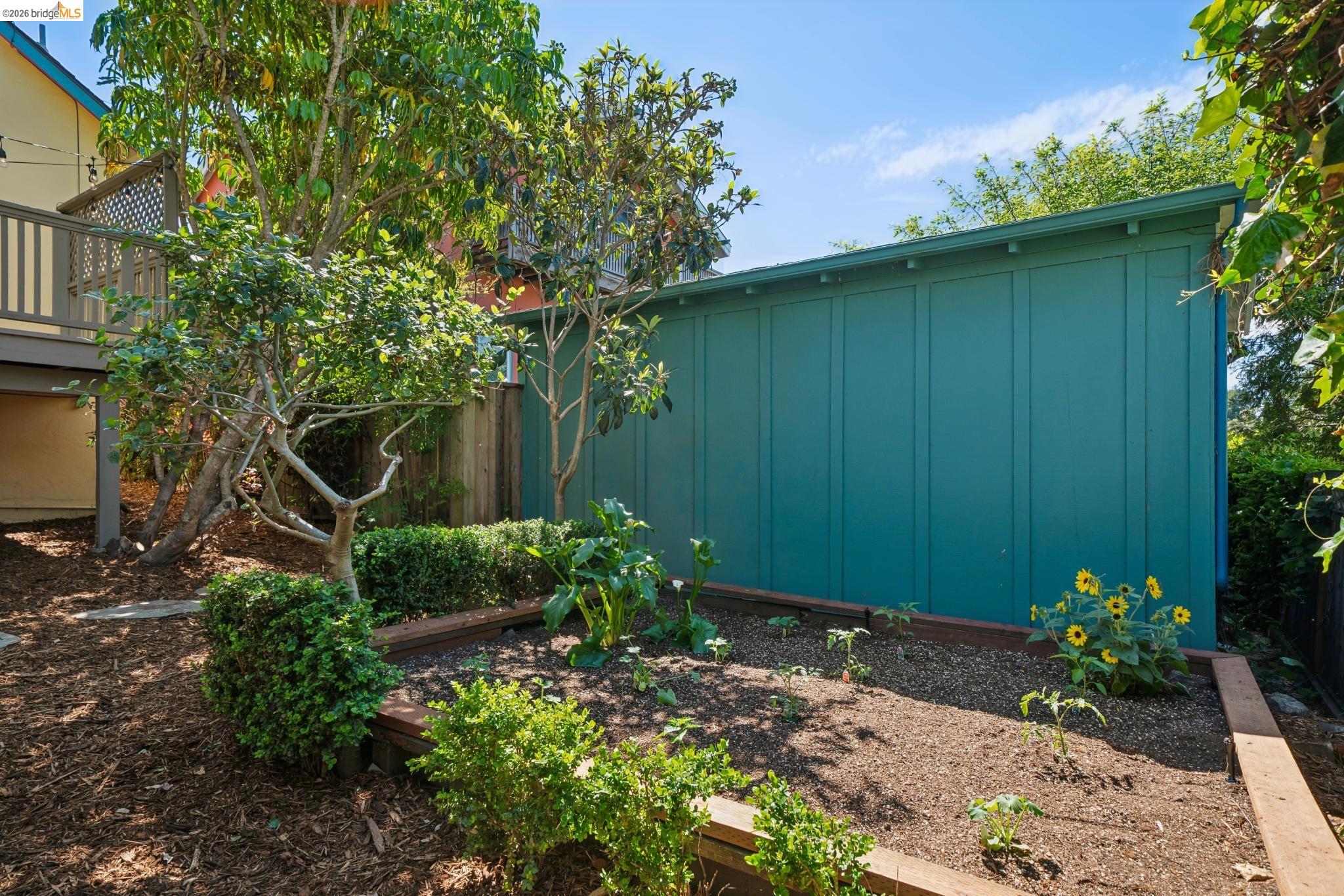 1425 Virginia Street Berkeley, CA 94702 - Photo 40 of 42 a view of a house with a yard and plants
