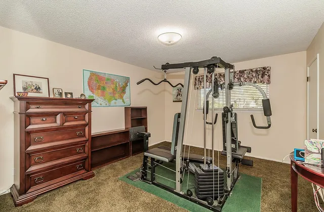 a view of a big yard with plants and large trees