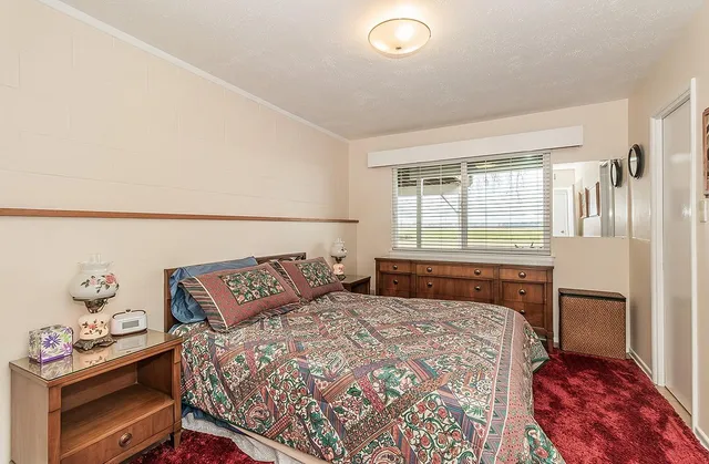 a view of a park with large trees