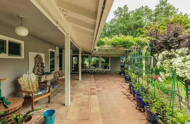 a view of a garden with lawn chairs