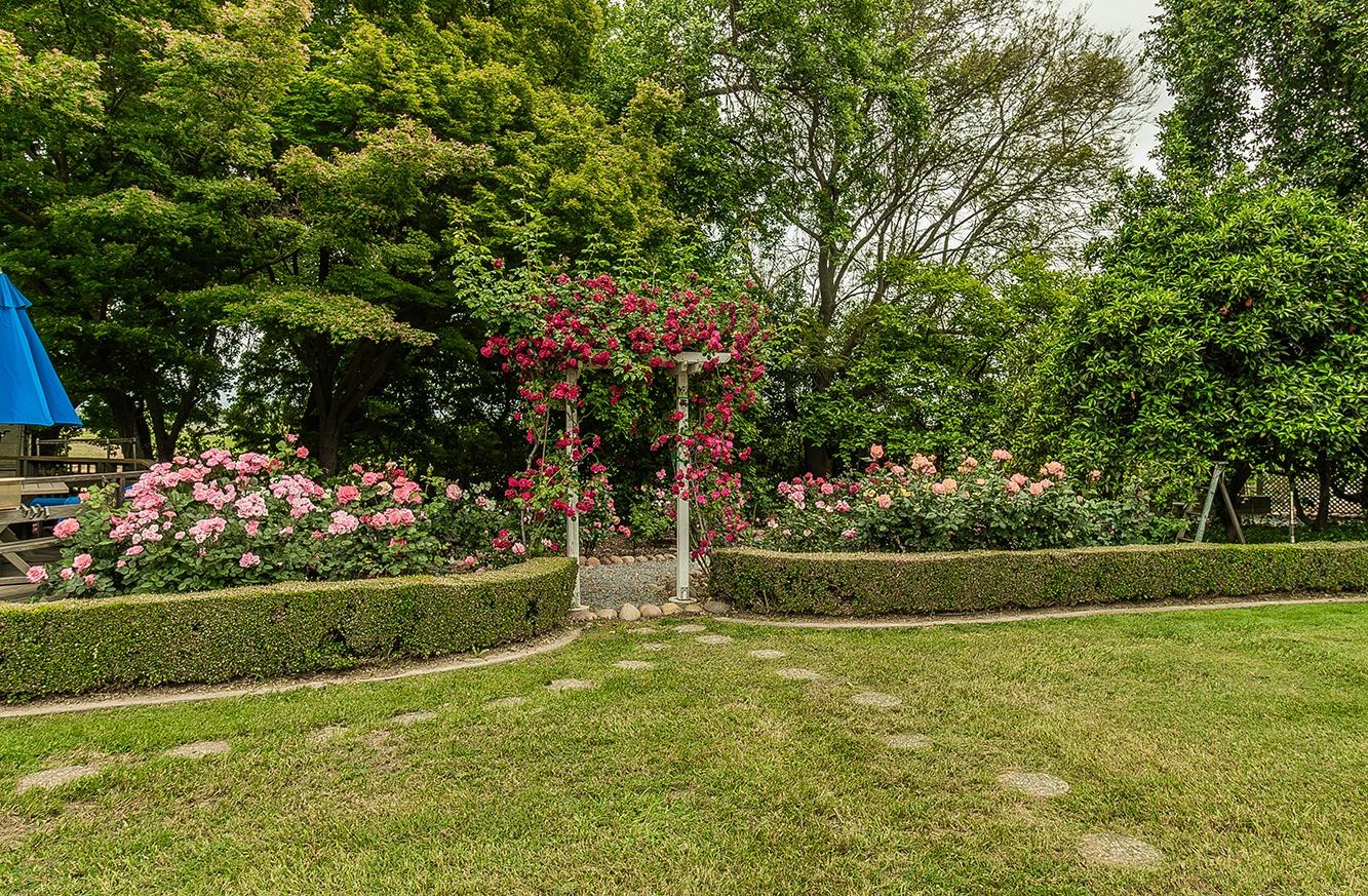 3670 South Newmark Avenue Sanger, CA 93657 - Photo 51 of 98 a view of a garden