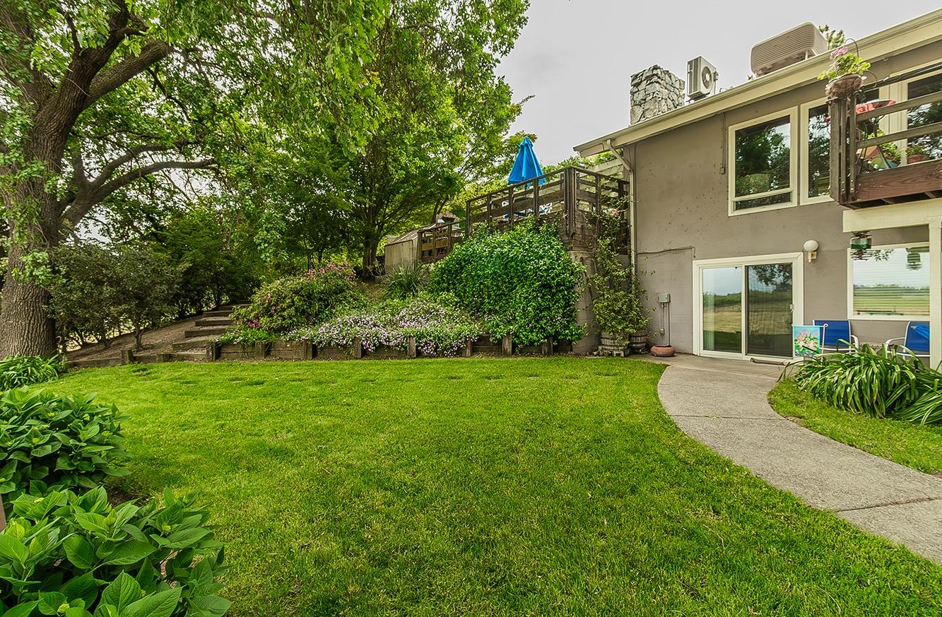 3670 South Newmark Avenue Sanger, CA 93657 - Photo 57 of 98 a view of a big yard with plants and large trees