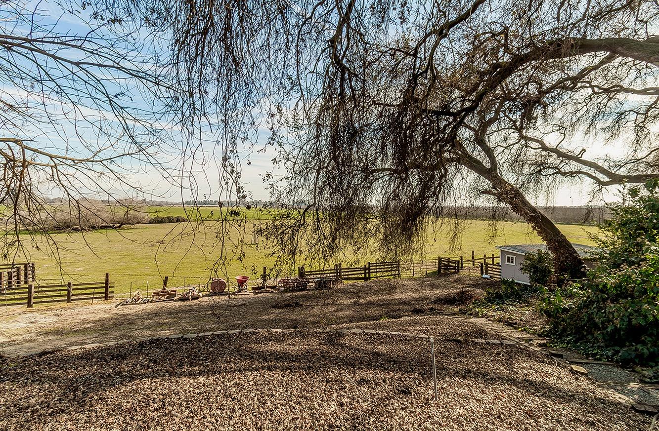 3670 South Newmark Avenue Sanger, CA 93657 - Photo 61 of 98 a backyard of a house with lots of green space