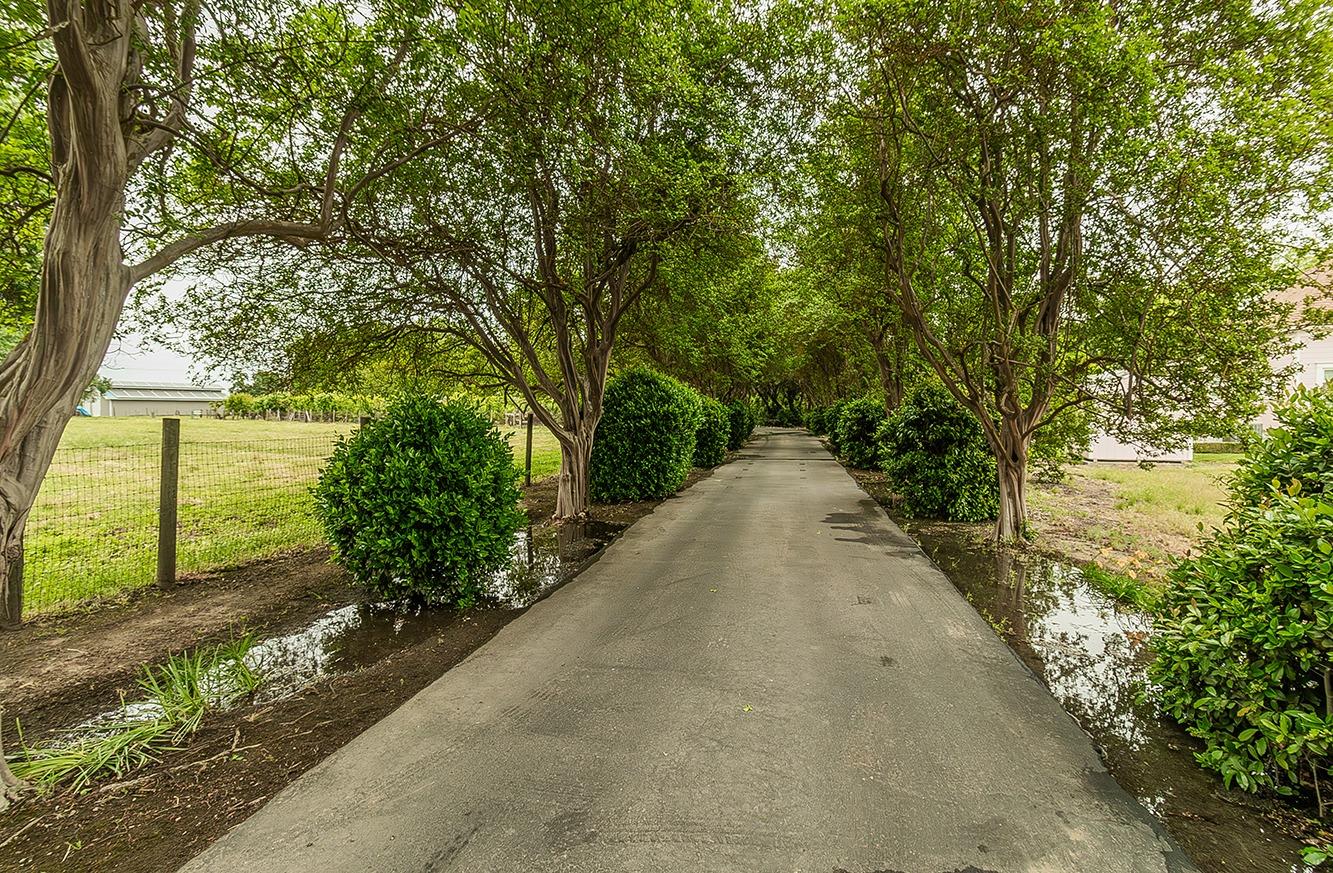 3670 South Newmark Avenue Sanger, CA 93657 - Photo 74 of 98 a view of a garden with pathway