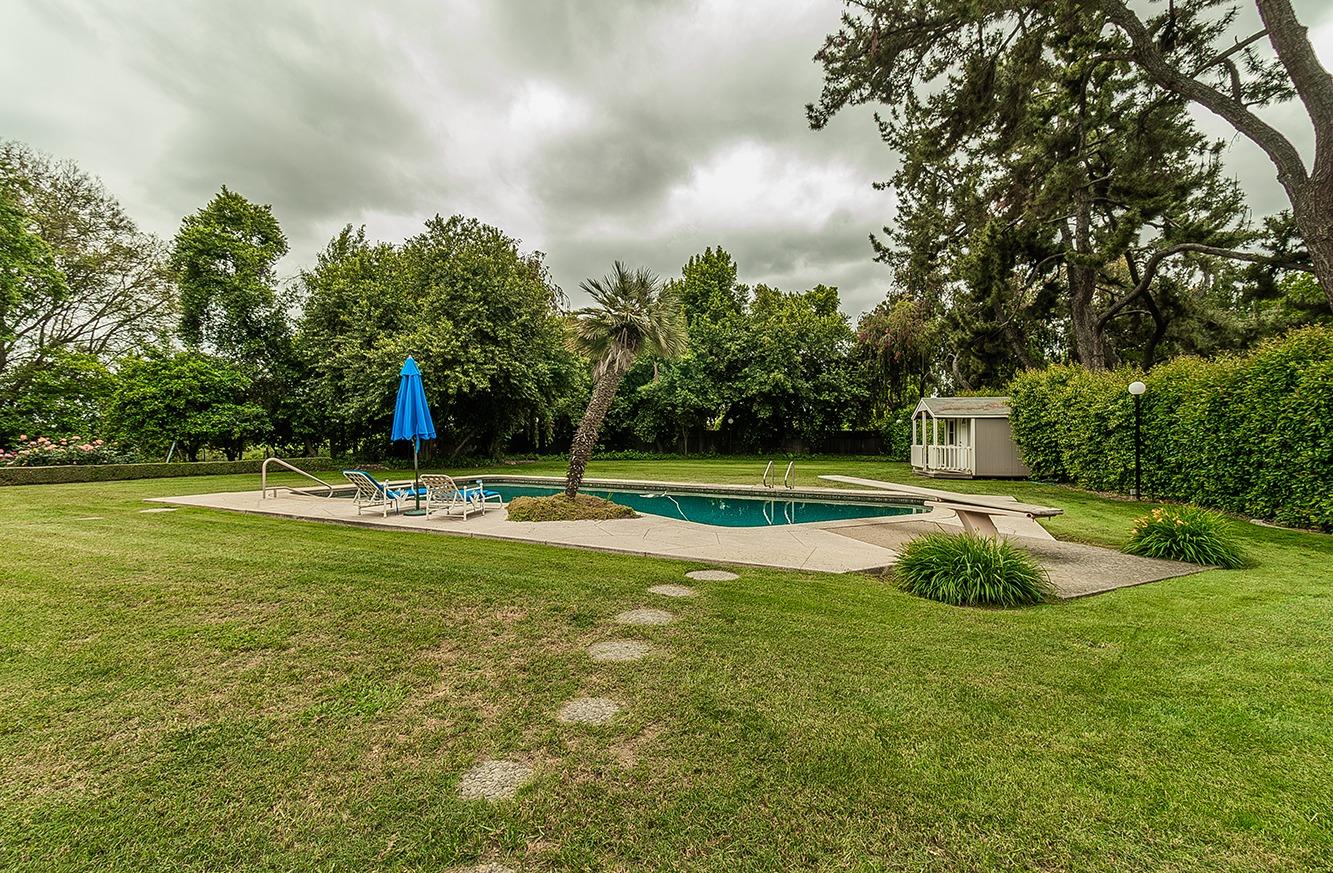 3670 South Newmark Avenue Sanger, CA 93657 - Photo 81 of 98 a view of a swimming pool with a yard and palm trees