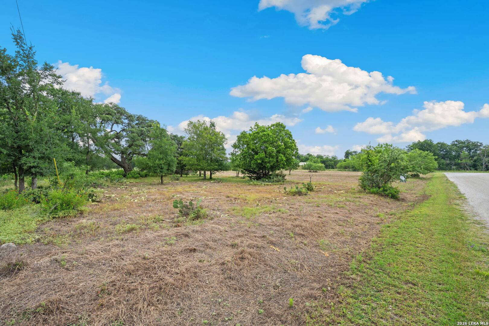 128 Rio Grande Drive Blanco, TX 78606 - Photo 7 of 16