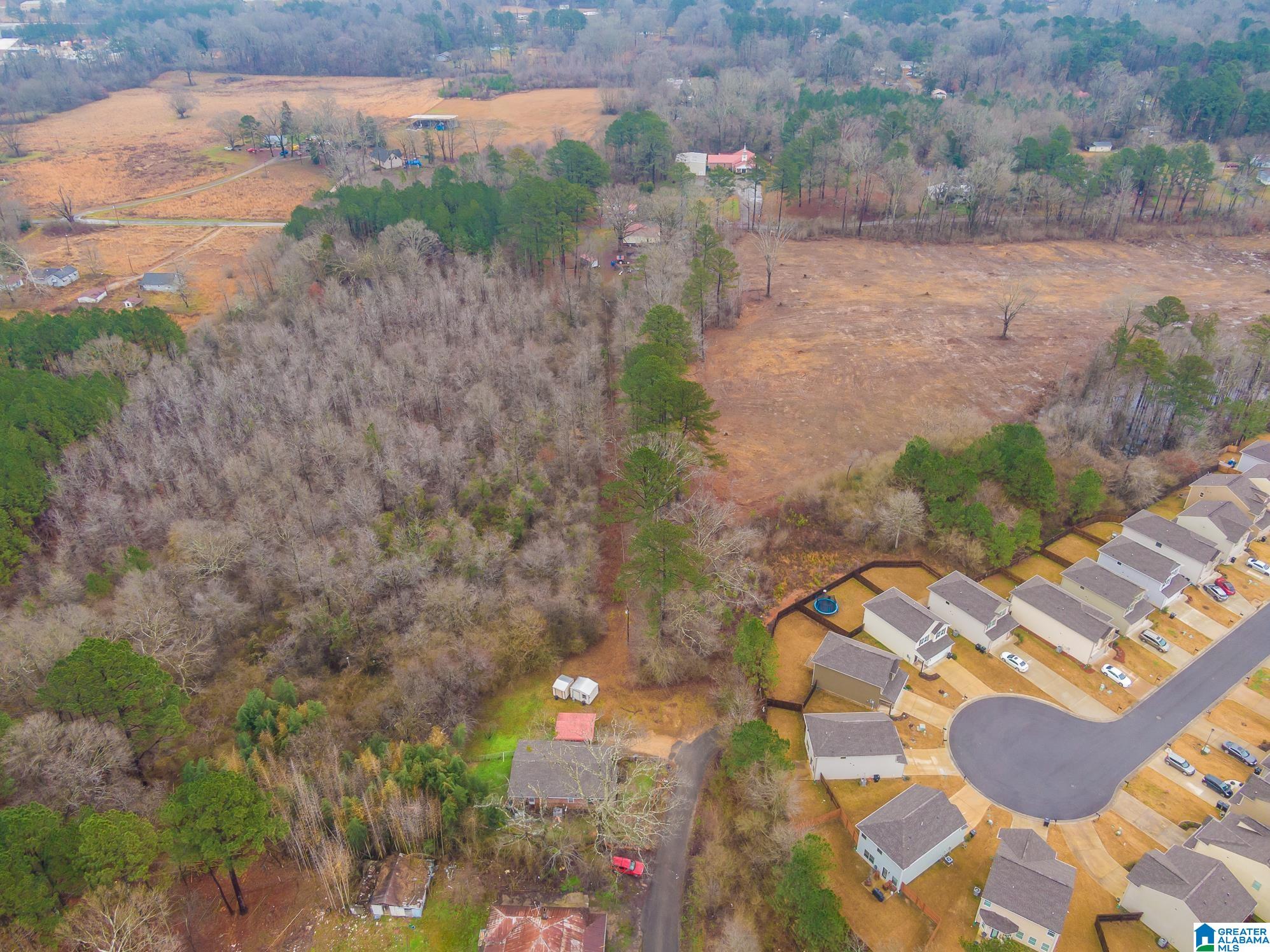 1991 Nixon Road, Unit 1 Bessemer, AL 35022 - Photo 10 of 20