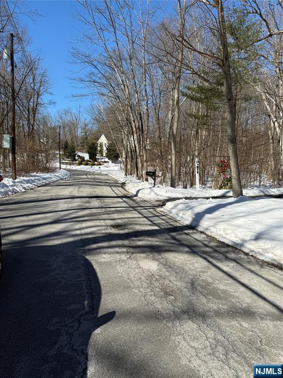 15 Saw Mill Road Butler, NJ 07405 - Photo 8 of 15 Gallery Image 8