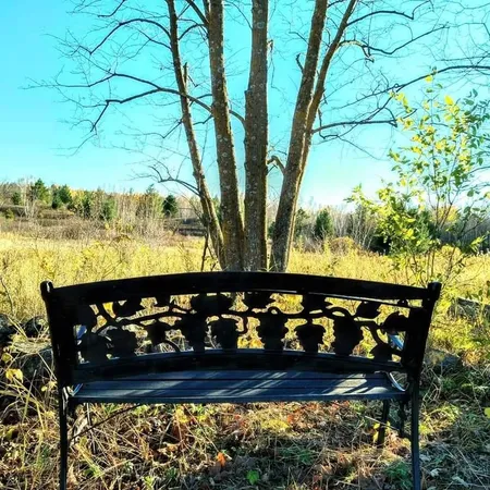 $499,900 | 2599 Olympic Street, Brook Park, MN 55007