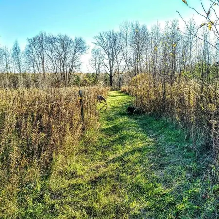 $499,900 | 2599 Olympic Street, Brook Park, MN 55007