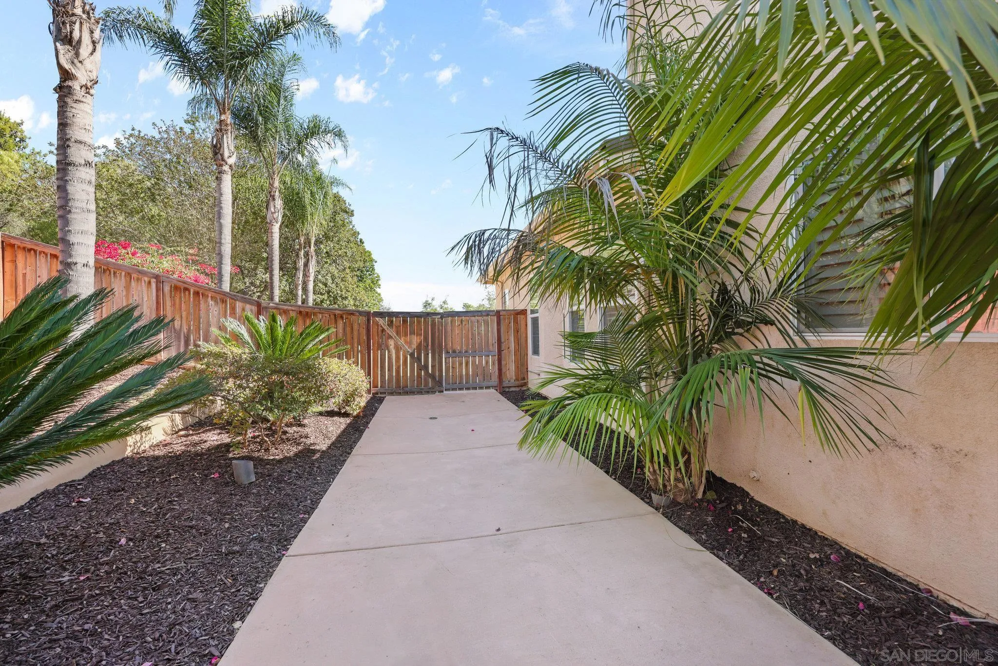 824 Hillcrest Terrace Fallbrook, CA 92028 - Photo 43 of 47 a couple of palm trees in front of a yard