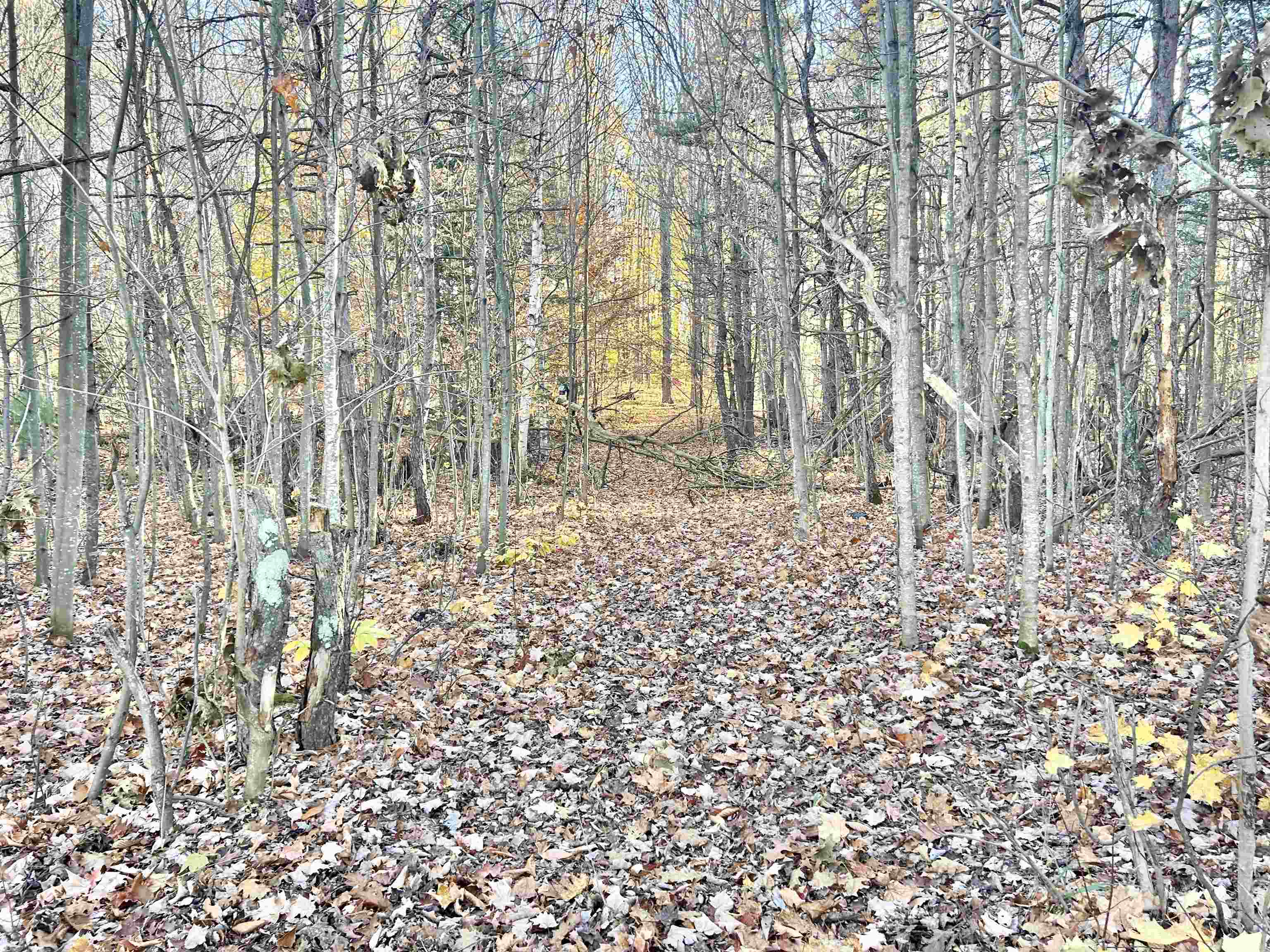 857 Thomas Road South Boardman, MI 49680 - Photo 14 of 24 1940331-f8971b7b-fb1e-4631-9d2d-6ba136f25358.JPG