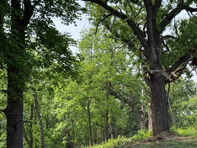 $349,900 | 245 Whitetail Way, Unit 23, Deerfield, WI 53531