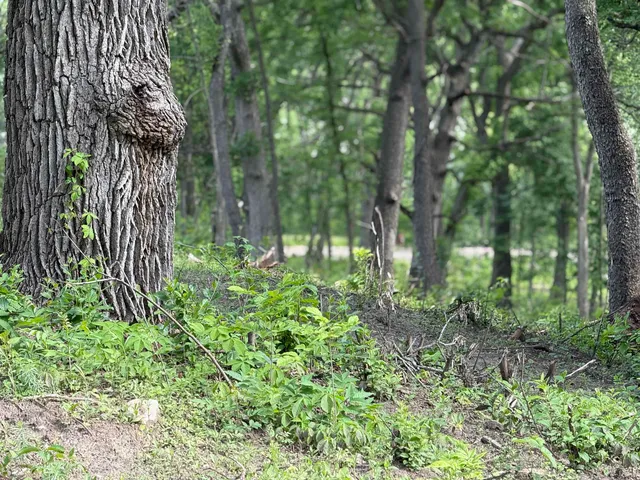 $349,900 | 245 Whitetail Way, Unit 23, Deerfield, WI 53531