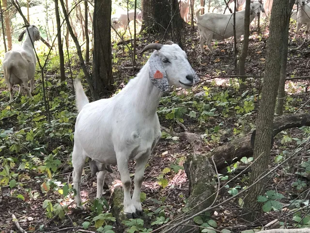 $349,900 | 245 Whitetail Way, Unit 23, Deerfield, WI 53531