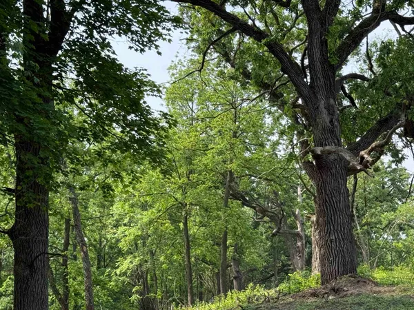 $349,900 | 245 Whitetail Way, Unit 23, Deerfield, WI 53531