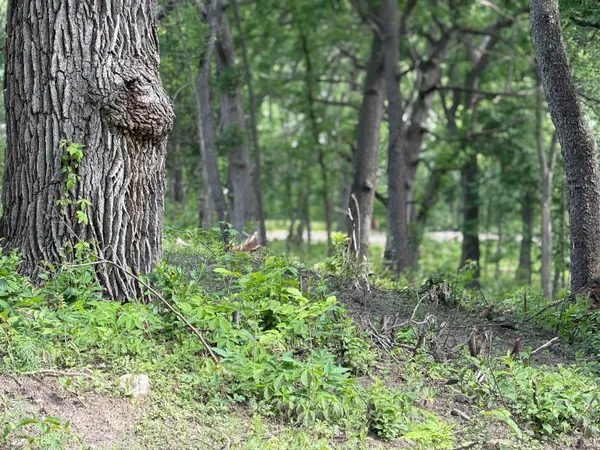 $375,900 | 245 Whitetail Way, Unit 23, Deerfield, WI 53531