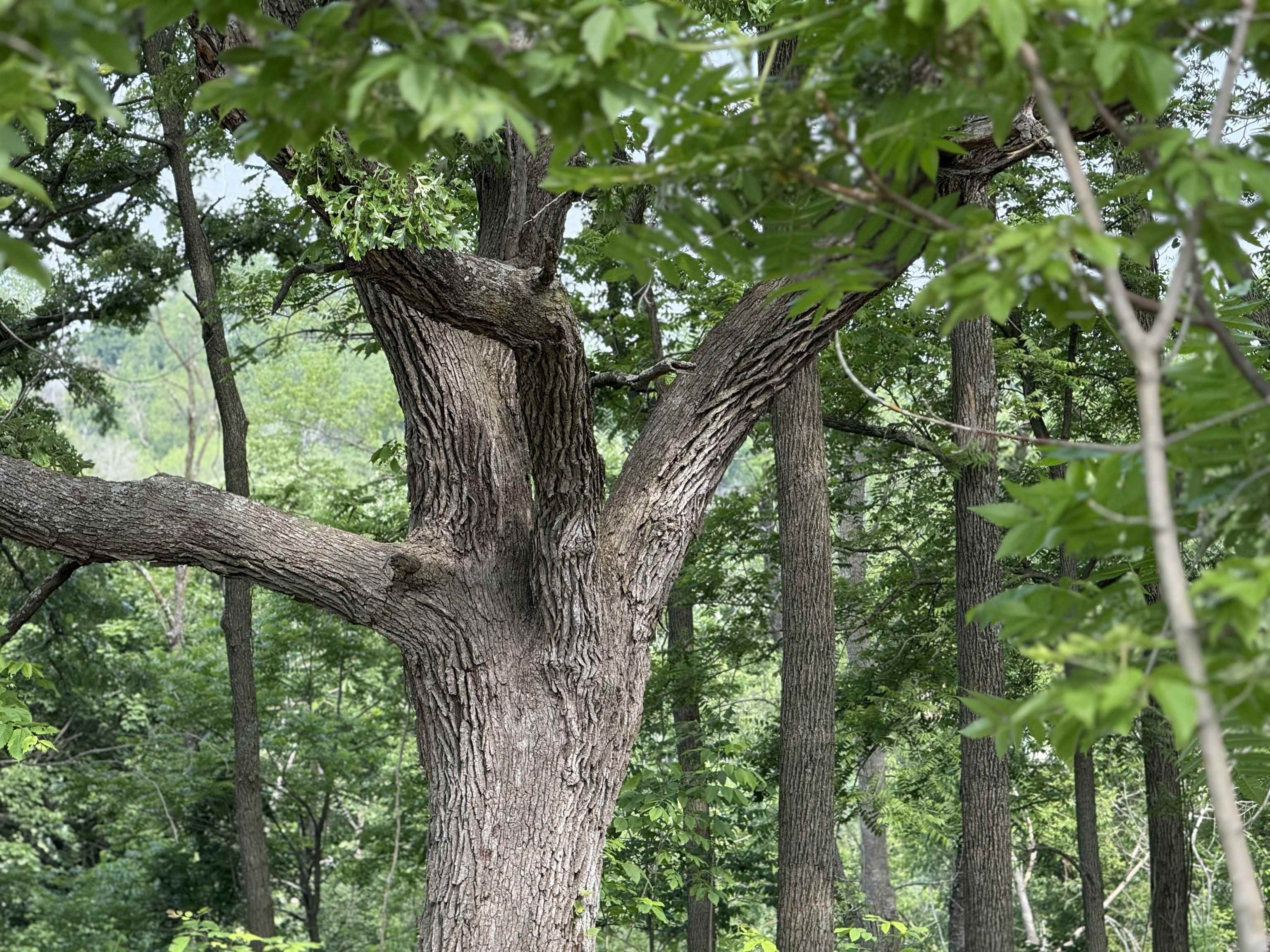 245 Whitetail Way, Unit 23 Deerfield, WI 53531 - Photo 10 of 19